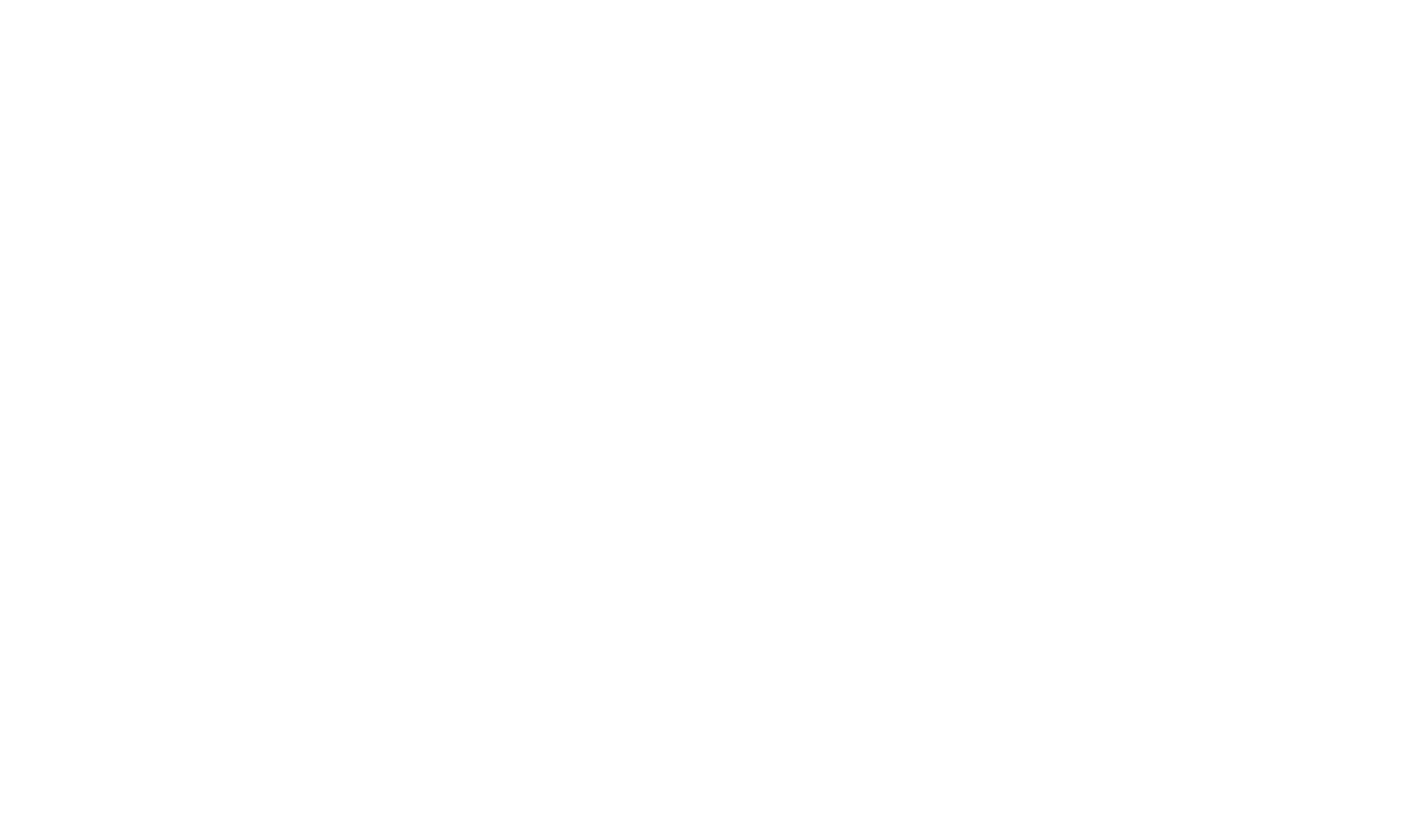 Planmatch Logo